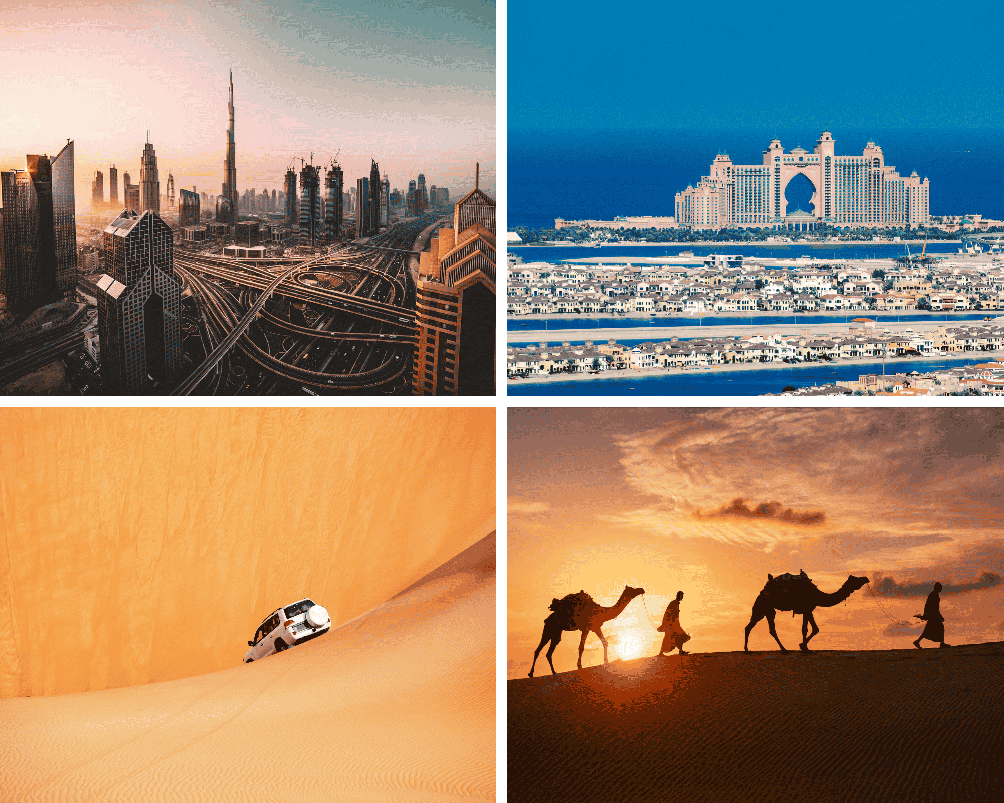 dubai-city-tour-desert-safari.png